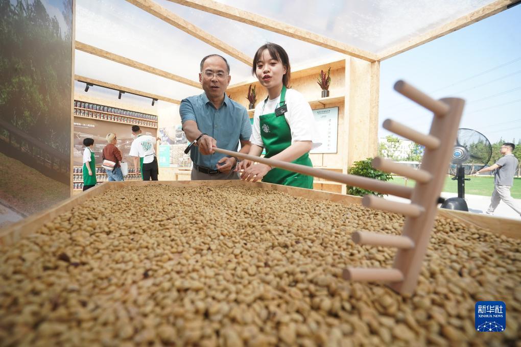 新东方现金注册